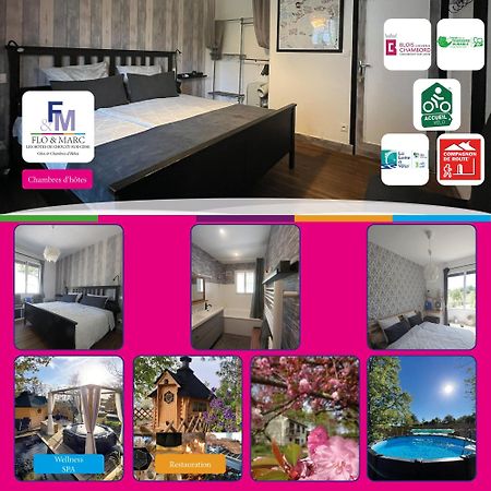 Chez Flo Et Marc Apartment Chouzy-sur-Cisse Ngoại thất bức ảnh