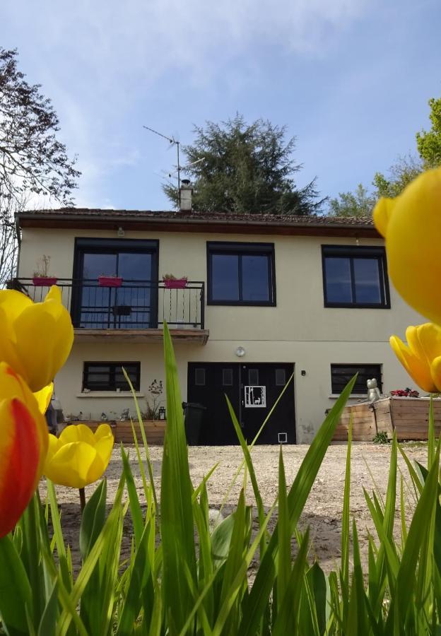 Chez Flo Et Marc Apartment Chouzy-sur-Cisse Ngoại thất bức ảnh